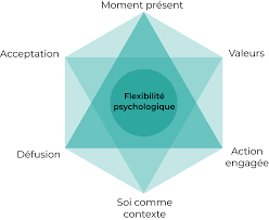 téléchargement (2) téléchargement (2)